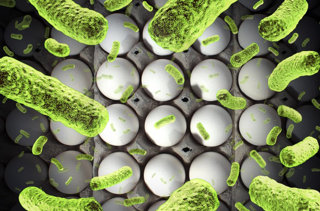 Puedes Contraer Y Producir Enfermedades: La Salmonella