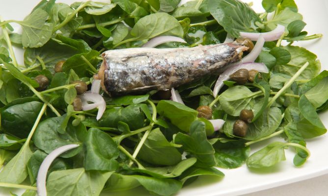 La ensalada de sardinas de Arguiñano que puede hacerse en 5 minutos