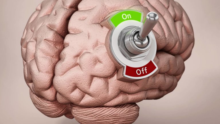 La nueva zona del cerebro que deslumbra a los científicos