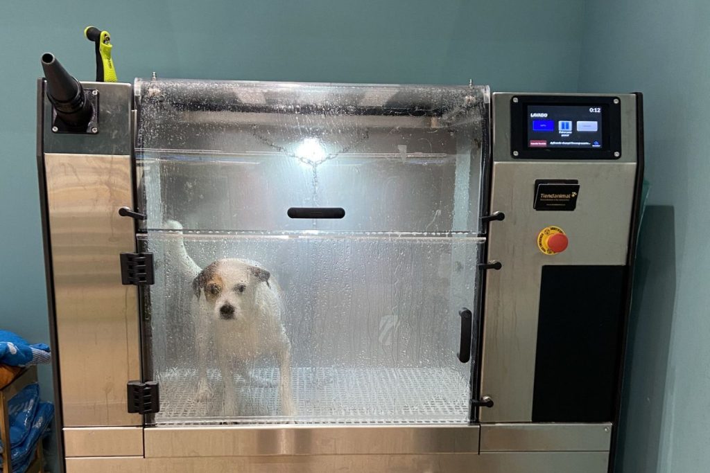 Lavadora Automática Para Perros Y Gatos