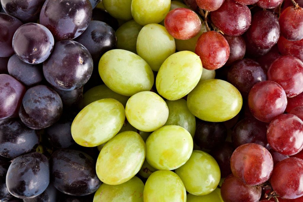 Uvas