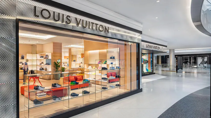 También Es Dueño De Louis Vuitton