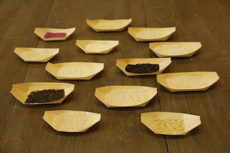 No todos son iguales: tipos de arroz y sus usos
