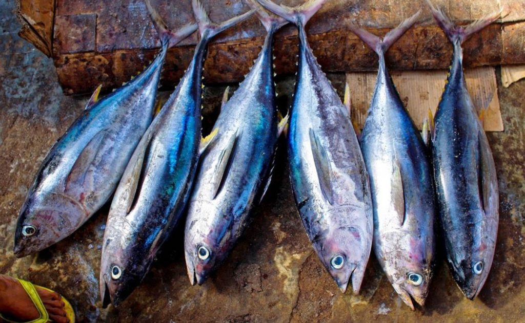 Alimentos Ideales Para Evitar La Depresión