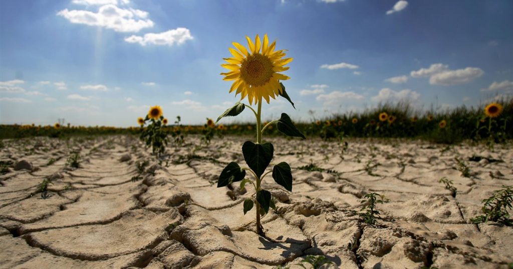 Las Olas De Calor Se Ceban Con España: 33.900 Defunciones Más De Las Previstas En 2022