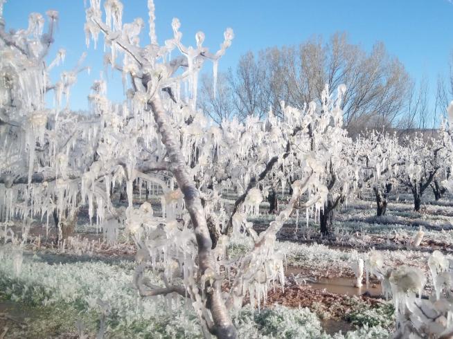 Las mínimas llegaron a -12,7ºC en Cap de Vaqueira (Lérida) y las heladas se extienden por toda España