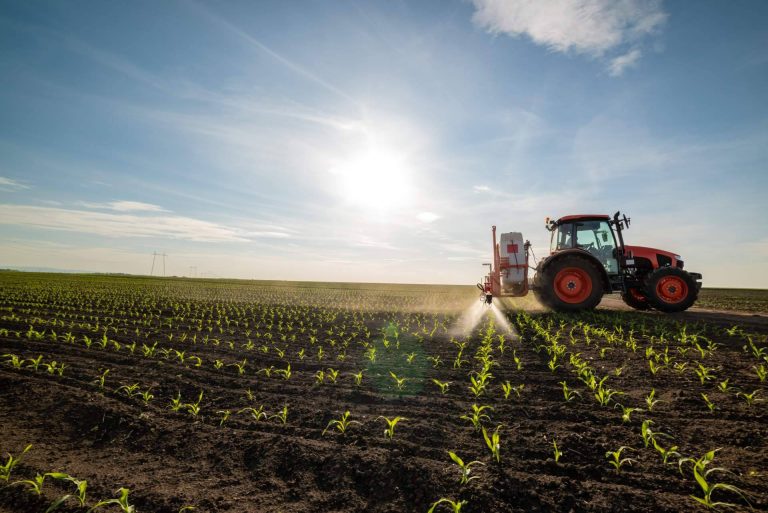 Conocer las nuevas formas de producción sostenible y respetuosa con el medioambiente y los animales
