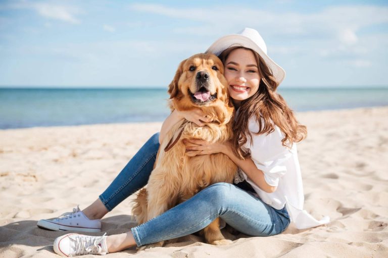 ¿Por qué es importante adoptar en refugio de animales?