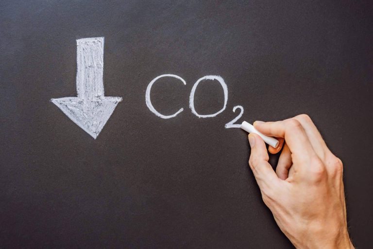 La puesta en valor de la sostenibilidad en el presente para garantizar un futuro social, económico y medioambiental