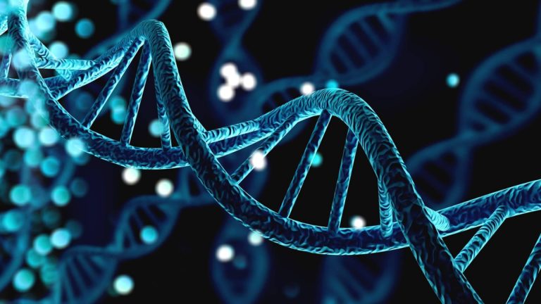 Nuevo Experto Universitario en Genética Médica y Genómica de Genotipia, esta vez con Edición Semipresencial