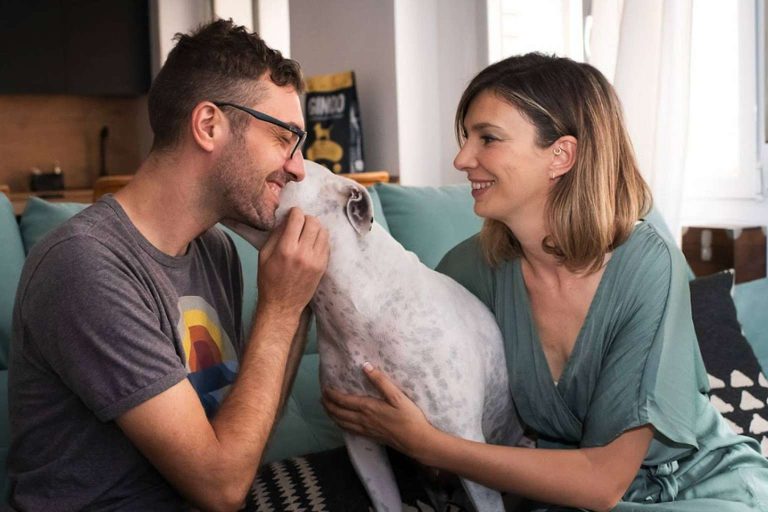 Ginqo brinda un alimento hipoalergénico, sin gluten y ecológico para mascotas