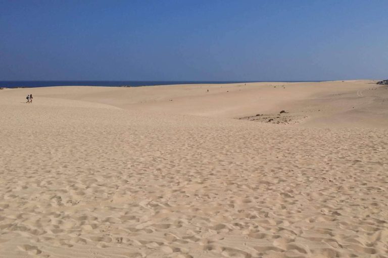 Organizar algunas de las mejores excursiones en Fuerteventura de la mano de OKFuerteventura