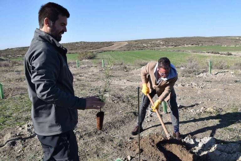 Referentes nacionales en la creación de bosques sostenibles, las grandes marcas combaten el cambio climático, por CO2 GESTIÓN
