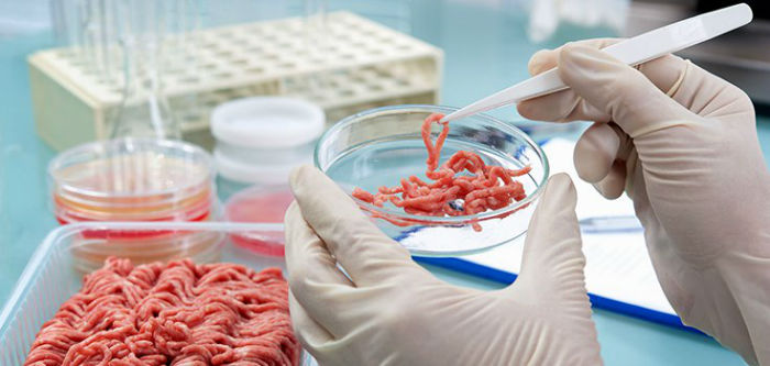 Meat Test Tube Lab 735 350 W700