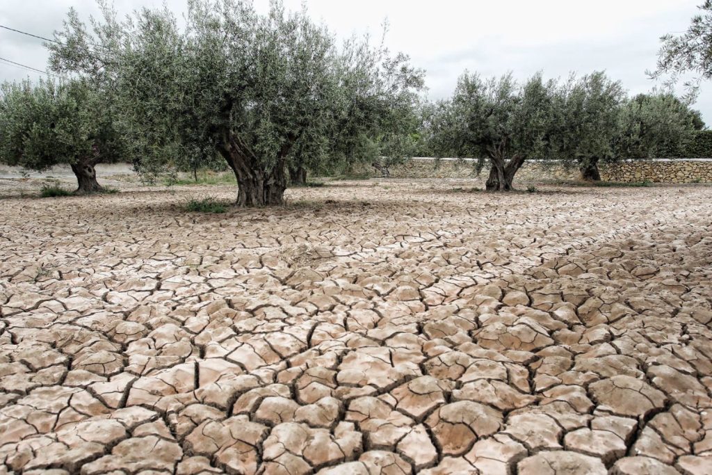 Las olas de calor se ceban con España: 33.900 defunciones más de las previstas en 2022