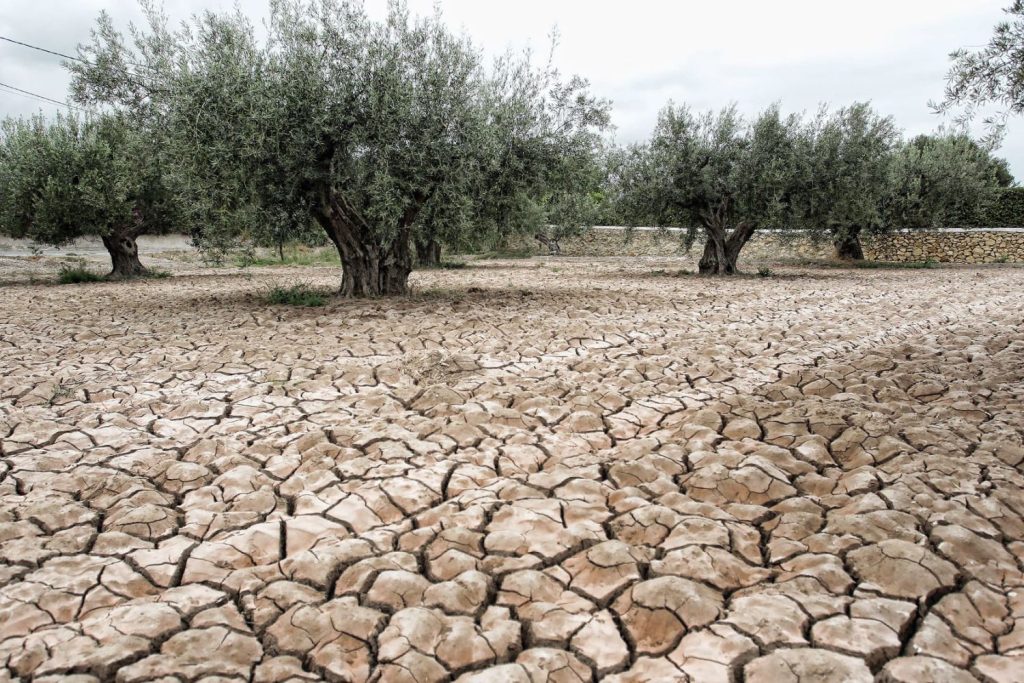 Las Olas De Calor Se Ceban Con España: 33.900 Defunciones Más De Las Previstas En 2022