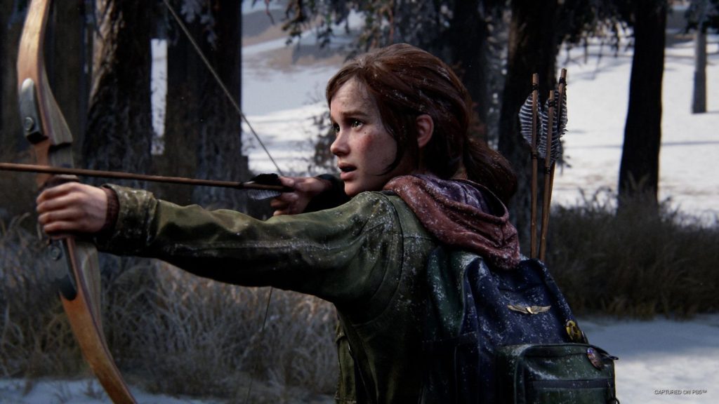 The Last Of Us Remake 5679493