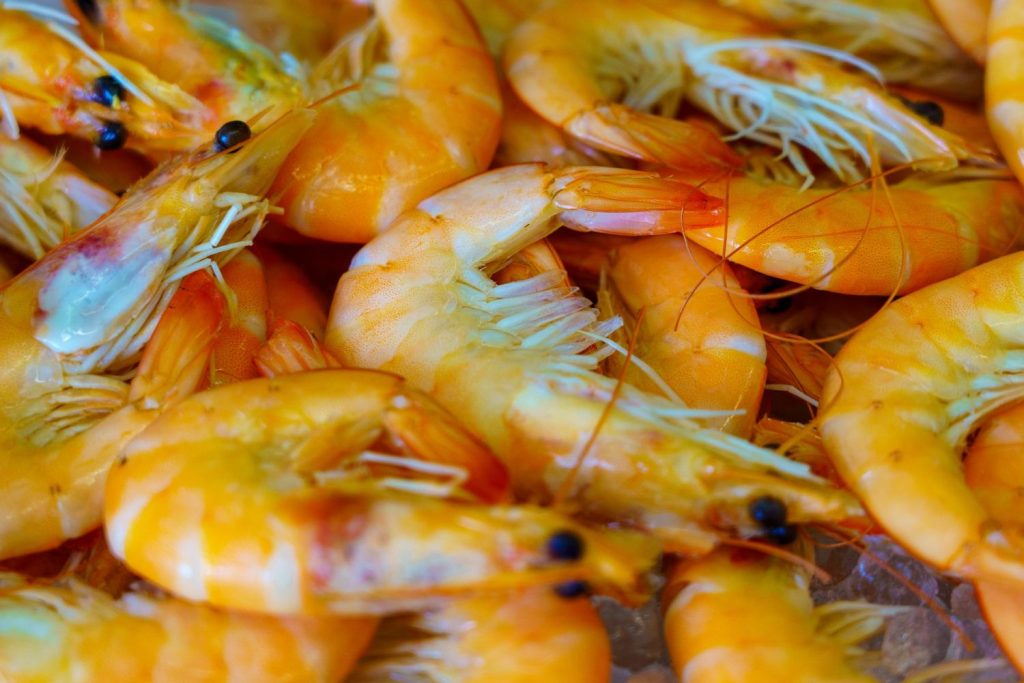 ¡Que No Te Engañen! Cómo Saber Si Unas Gambas Son Frescas