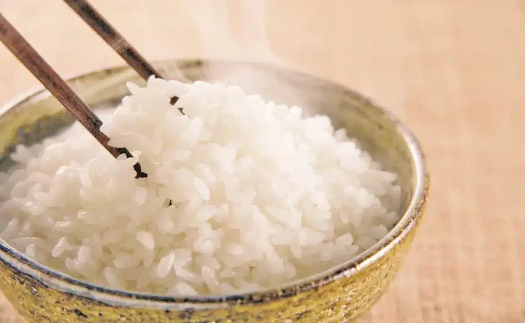 Por qué los japoneses no engordan comiendo tanto arroz y nosotros sí