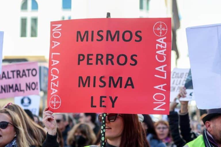 Fundación Franz Weber pide libertad de voto para los diputados del PSIB en el Congreso en la Ley de Protección Animal