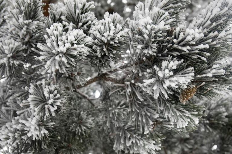 La nieve pone en alerta a 27 provincias y las temperaturas descienden notablemente en la mitad norte