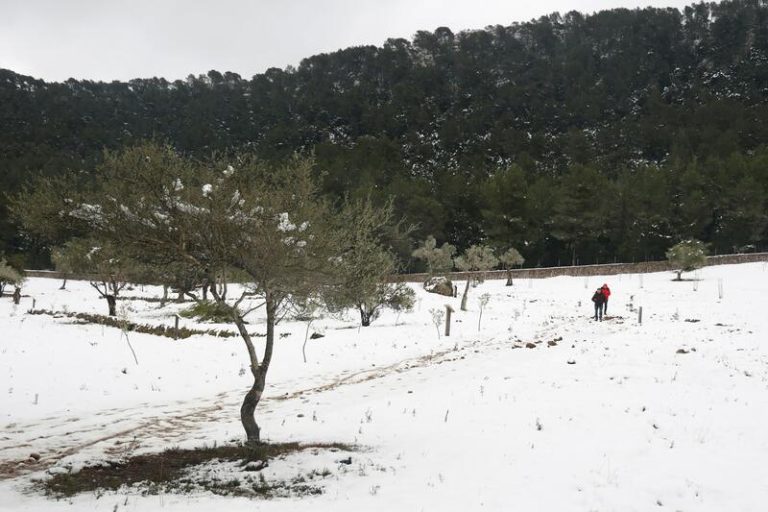La borrasca Juliette pondrá en alerta por frío a más de 30 provincias y a Mallorca en riesgo extremo por nieve