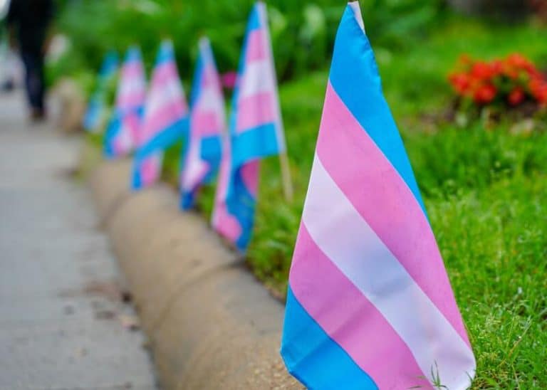 Colectivos dejarán la Mesa LGBTIQ+ de Tenerife si el Cabildo apoya el debate «transexcluyente» en un congreso deportivo