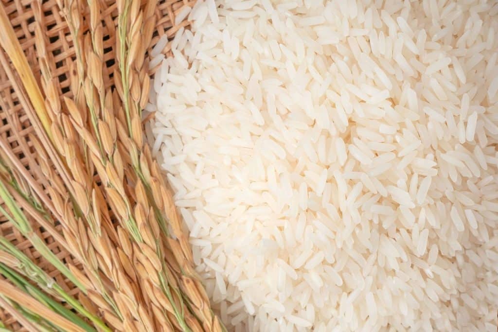 Por Qué Los Japoneses No Engordan Comiendo Tanto Arroz Y Nosotros Sí 3 Por Qué Los Japoneses No Engordan Comiendo Tanto Arroz Y Nosotros Sí