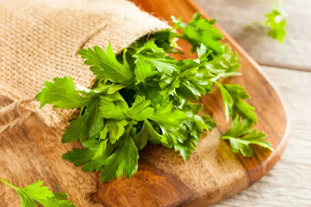 Agrega Sabor A La Salsa