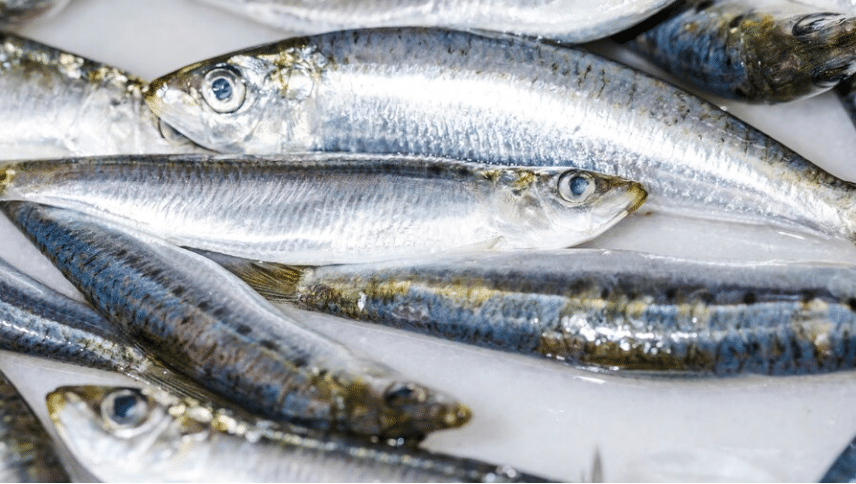 Así Prepara Arguiñano Unos Boquerones En Salsa Mejores Que En Vinagre