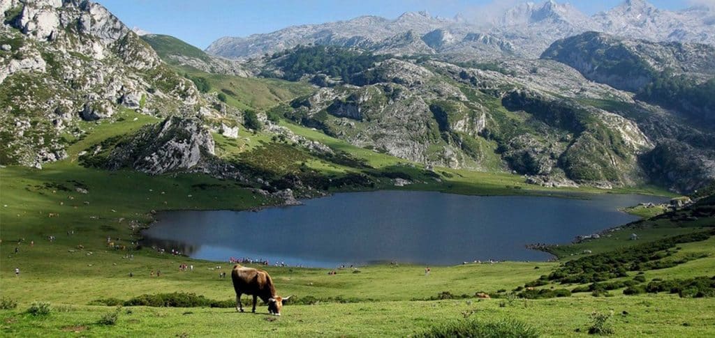 Cangas De Onís En Asturias