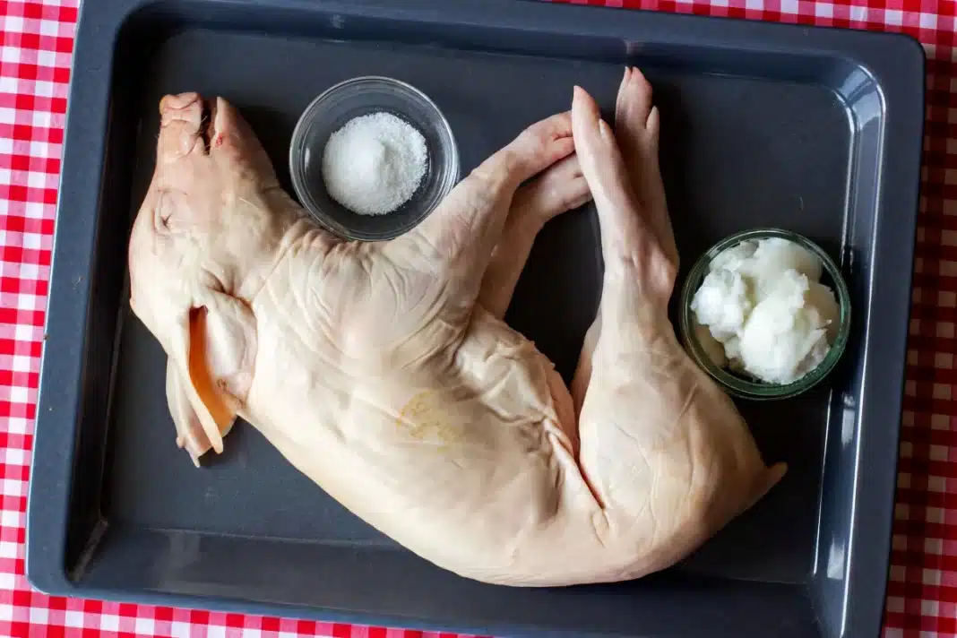 Cochinillo asado la receta para hacerlo en casa sin necesidad de ser un experto