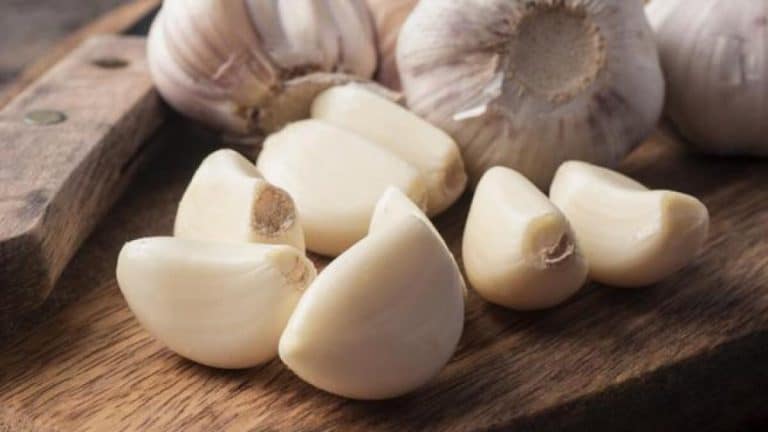 Cómo cultivar el ajo en tu propia casa y ahorrar dinero