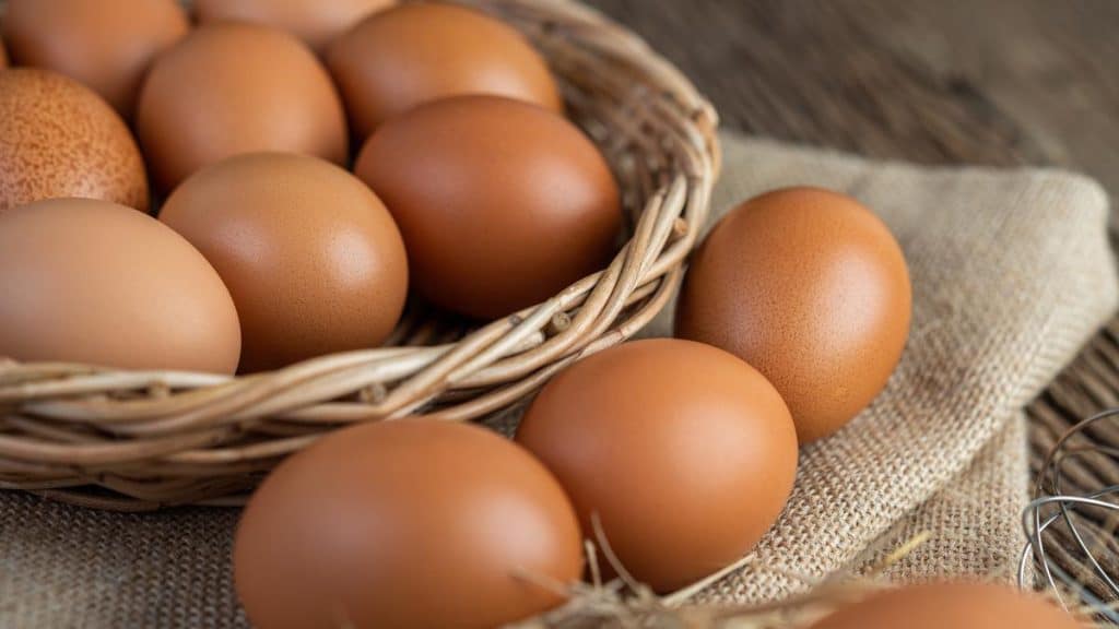 Otras Publicaciones Del Mismo Grupo De Científicos Que Investigó Los Huevos