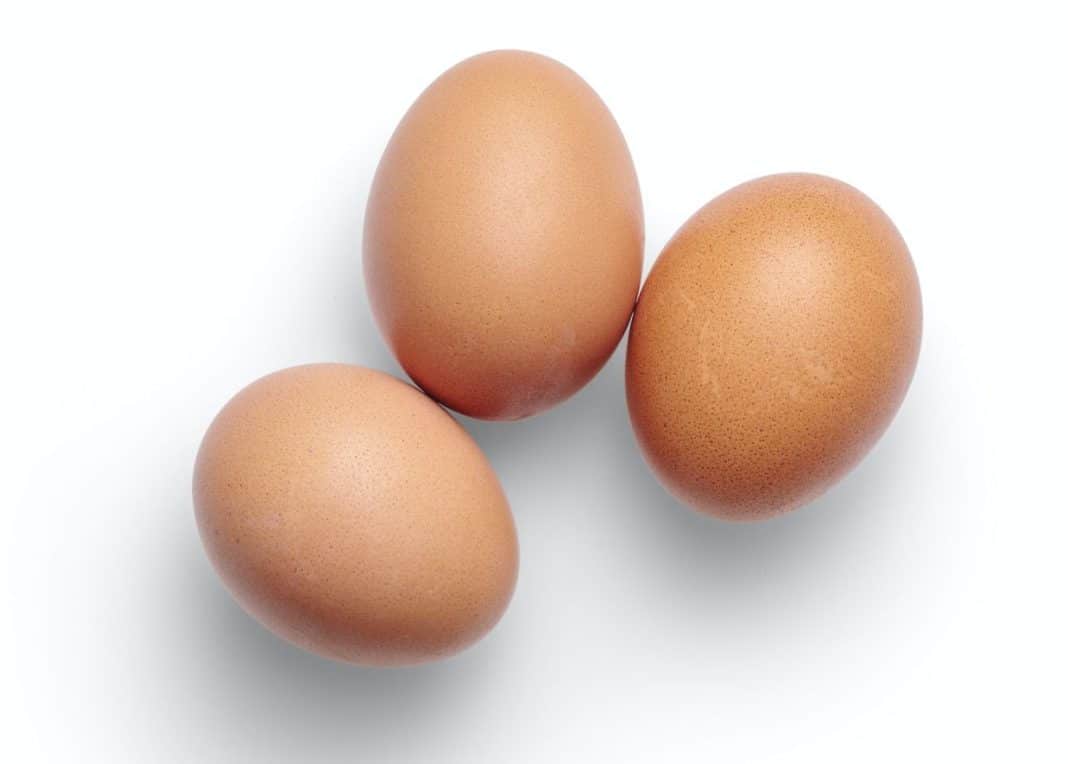 huevos camperos