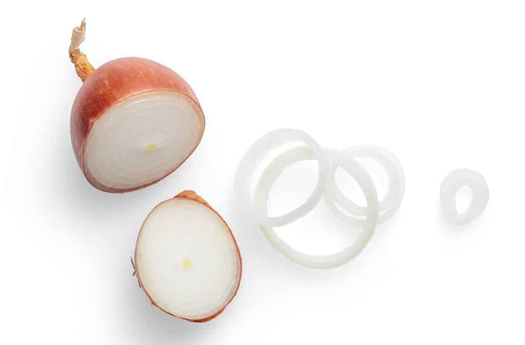 Cebolla