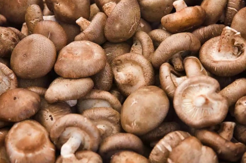 Composición Nutricional De Las Setas