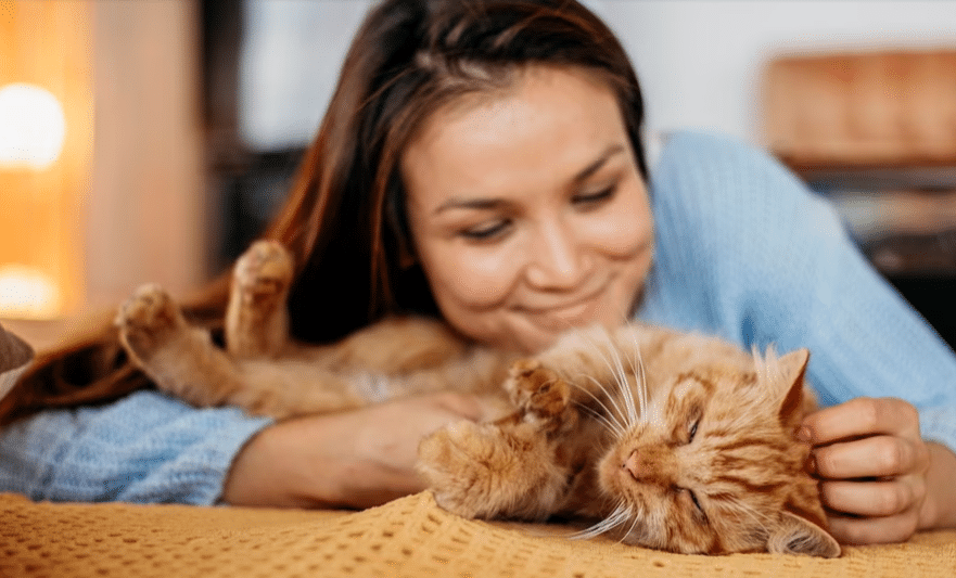 Este Es El Multazo Que Te Puedes Llevar Por Dejar A Tu Perro O Gato Solo En Casa