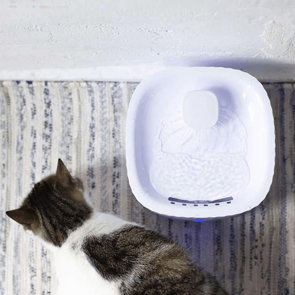 Fuente De Agua Para Mascotas