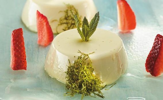 La Preparación De La Pannacotta De Chocolate Blanco Del Chef Martin Berasategui  