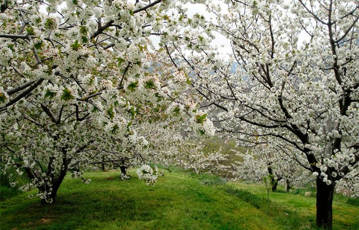 Los pueblos de España más espectaculares para visitar en primavera