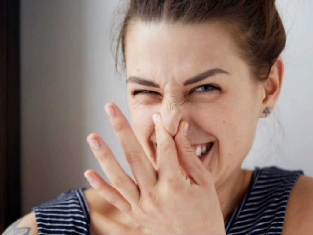 ¿Qué Hacer Para Prevenirlos?