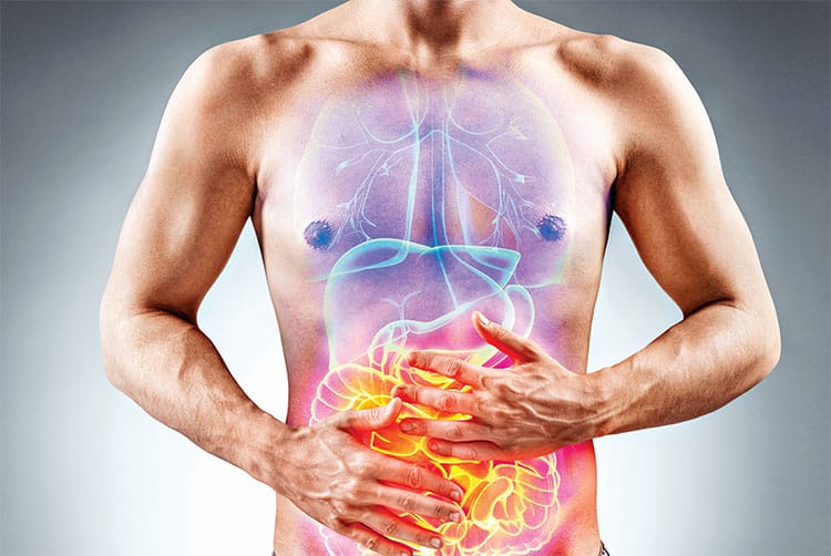 Qué es disbiosis intestinal