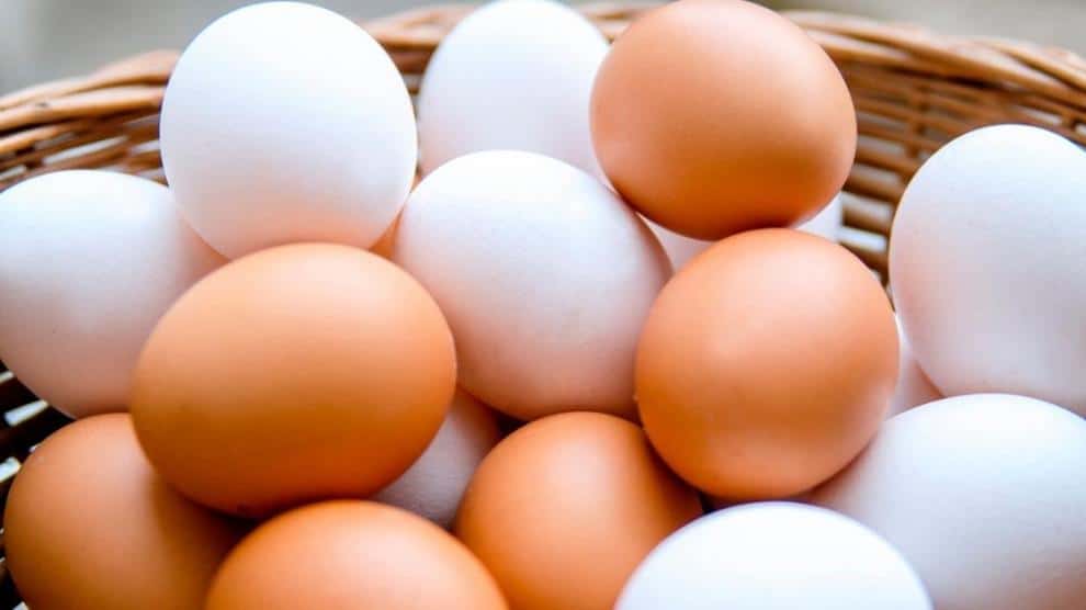 Beneficios De Comer Huevo