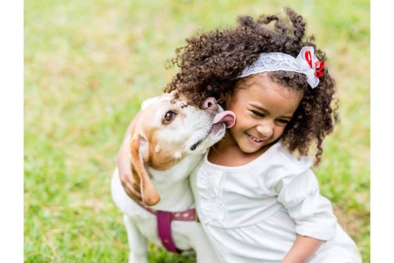 ¿Cuál es la época del año en la que se recogen más animales?