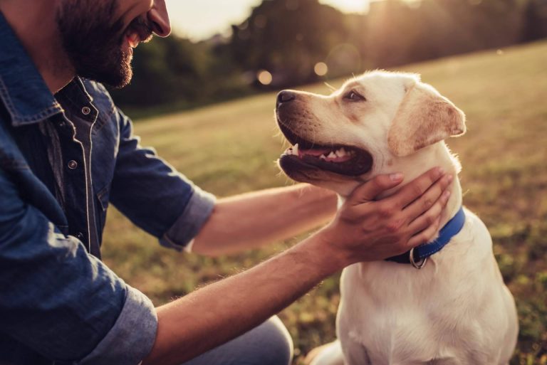 Acabar con la infelicidad laboral de la mano de El Perro Feliz