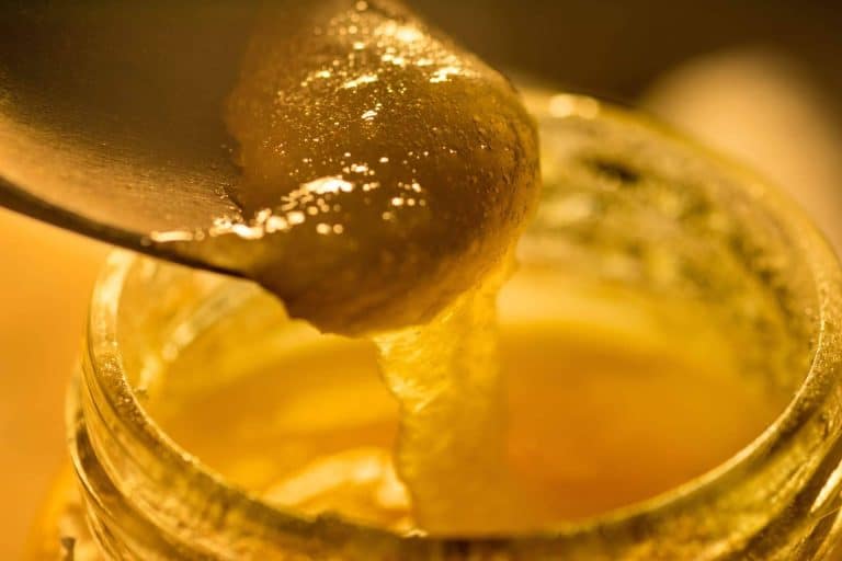 Conocer los beneficios de consumir jalea real y propolis
