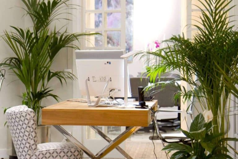 WEKOW y los beneficios del coworking