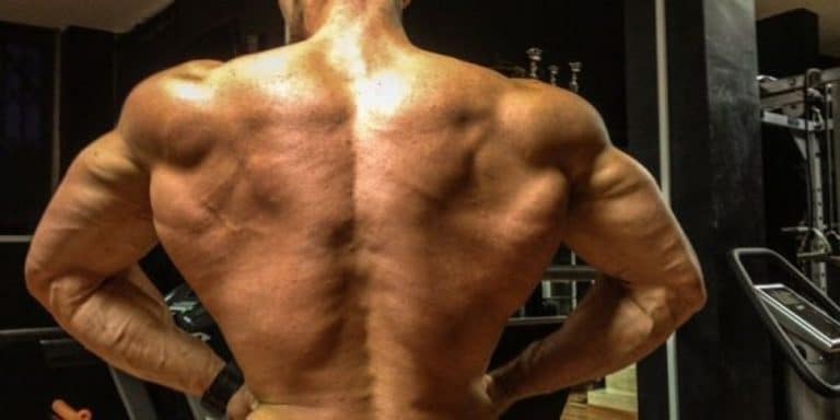 ¿Qué son los SARMs?