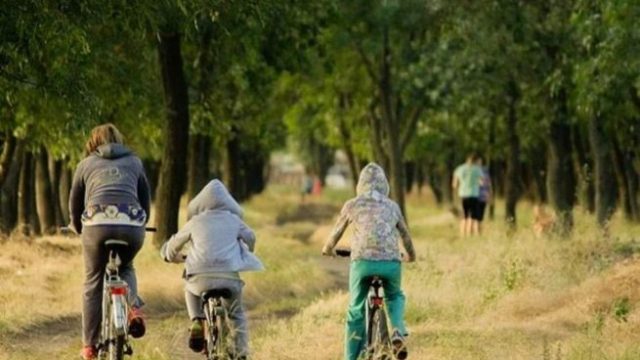 10 formas muy económicas de mejorar tu salud